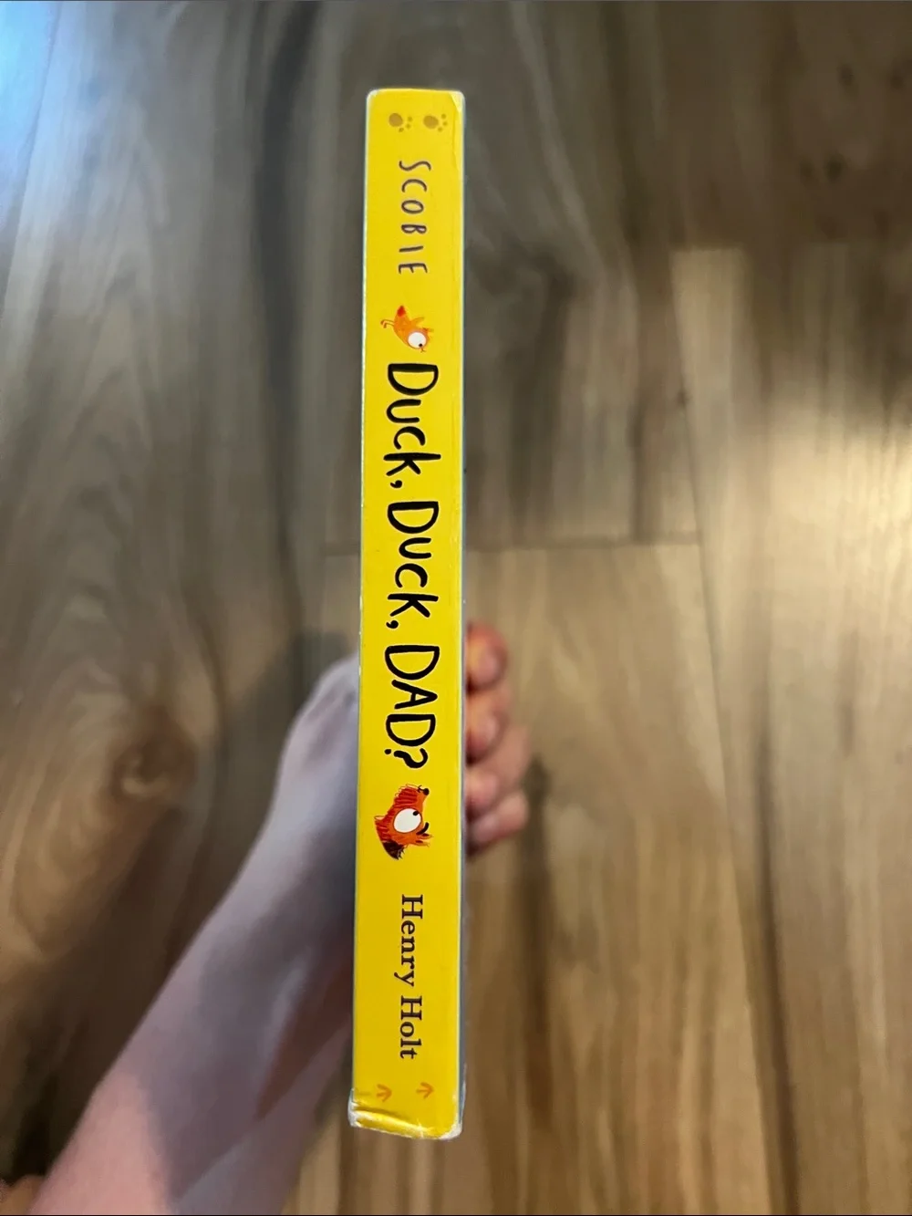 Duck, Duck, Dad? Board Book - Blue